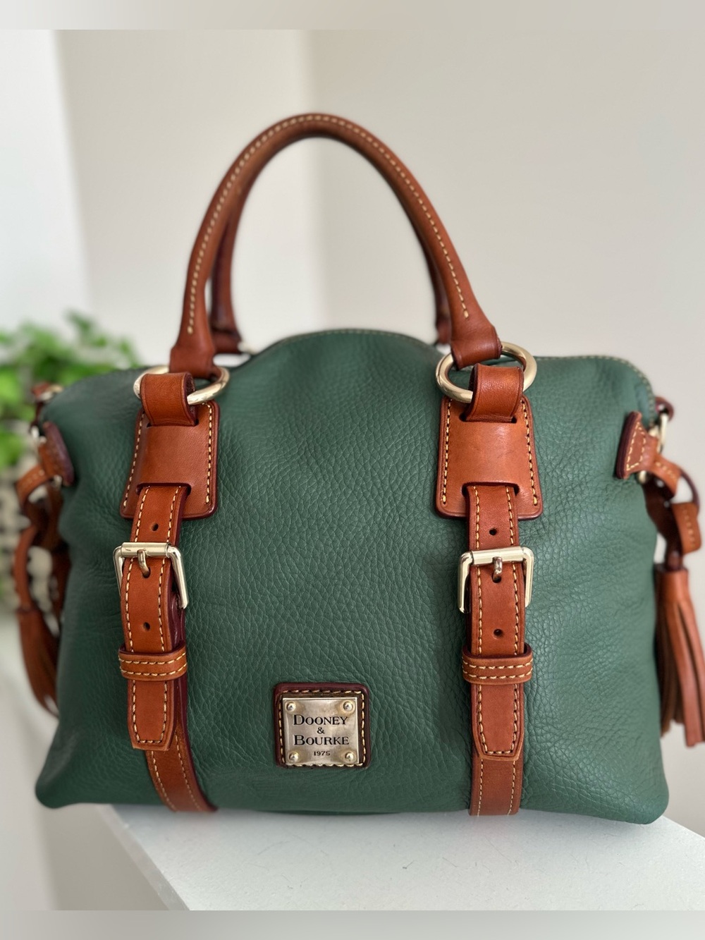 Dooney & Bourke Bristol Satchel in Ivy Green - Picture 3 of 16